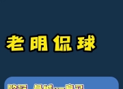 官方澳客网-利兹联在主场逼和沃特福德，积分优势保持的简单介绍