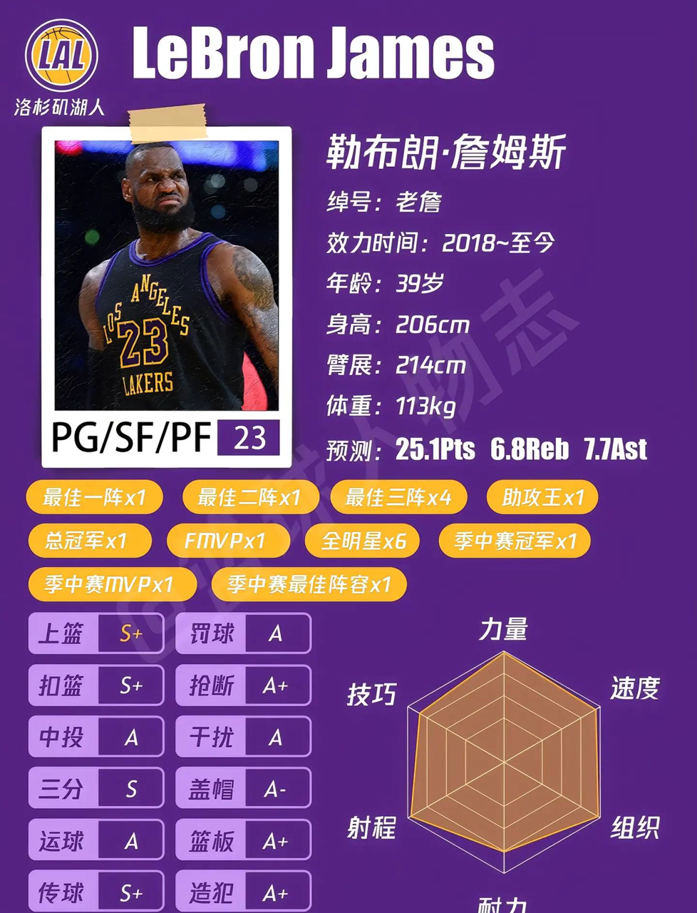 关于赛季关键阵容调整，各队备战工作全面展开的信息